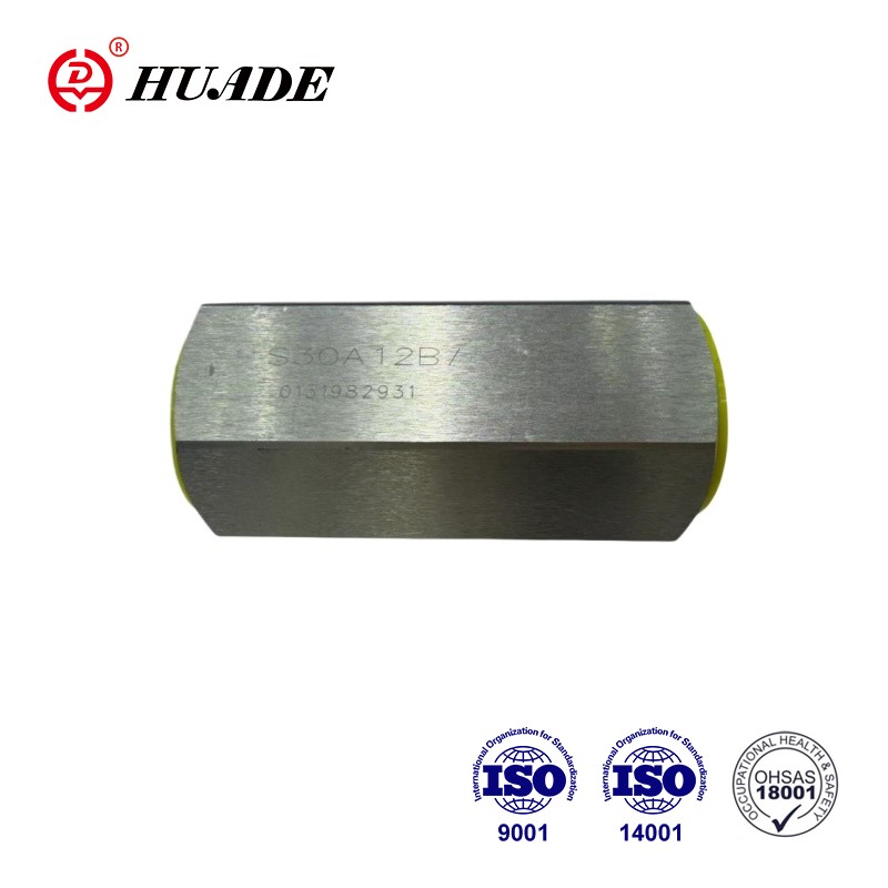 Galvanized Check Valve Type S